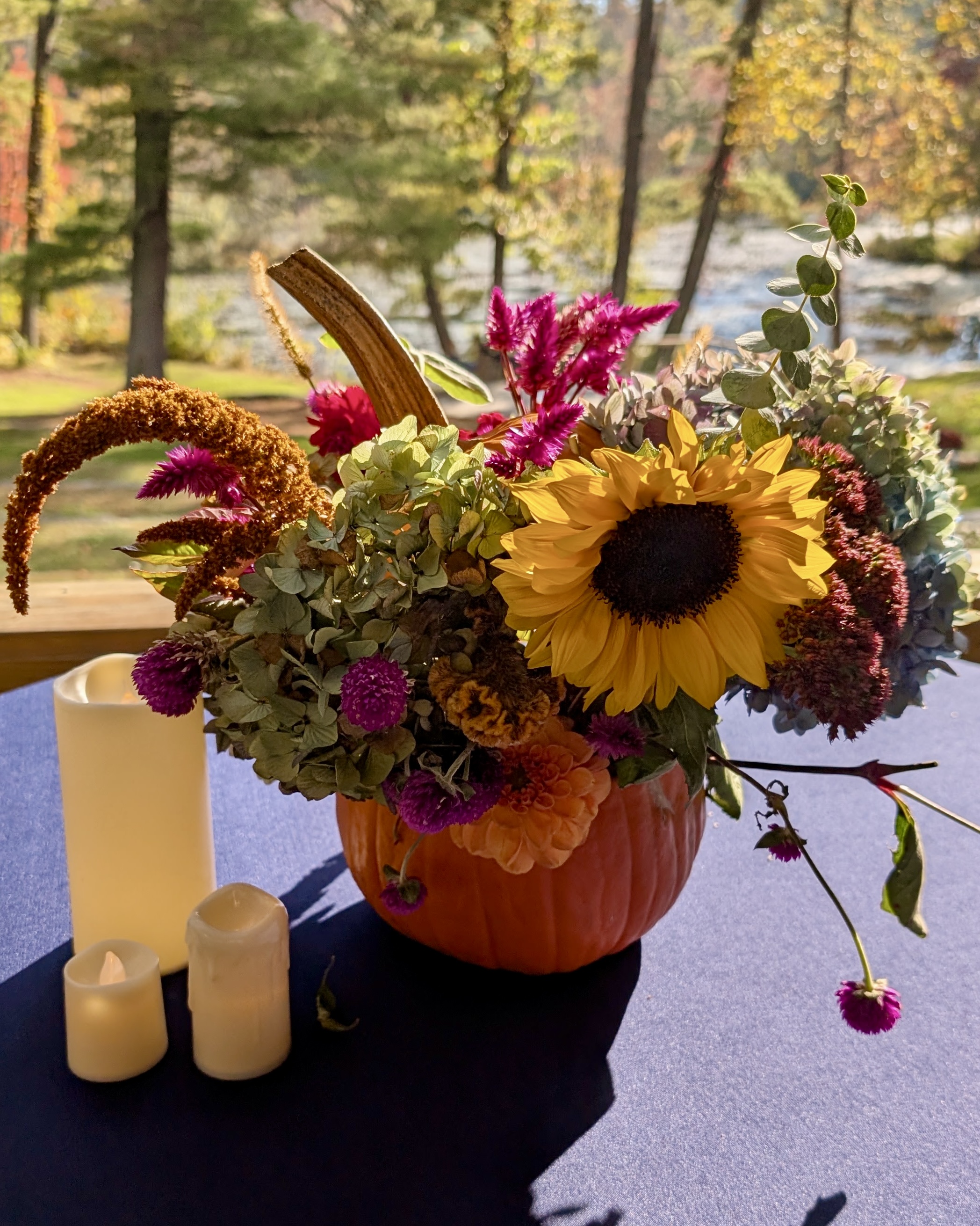 A sunflower and hydrangea arrangement in a pumpkin, glowing in golden light beside the lake